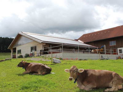 Bild 14 aus  Schädlerhof