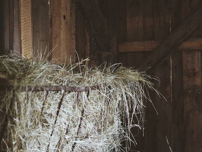 Bild 11 aus  Ferienparadies am Rennweg