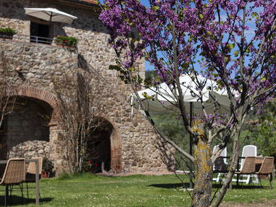 Bild 27 aus  Tenuta Il Cicalino