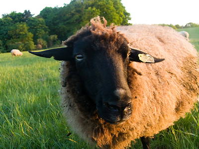 Bild 15 aus  Behringhof am Gamengrund