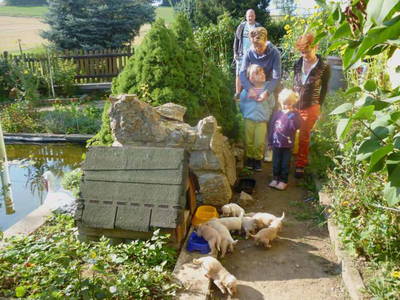 Bild 17 aus  Ferienbauernhof    "Pension Landhof "