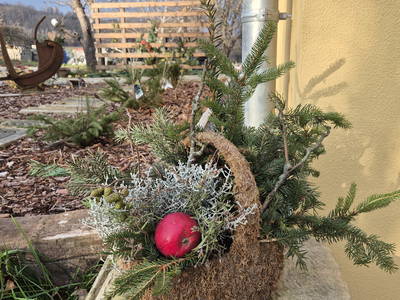 Bild 9 aus  Hanselhof 26