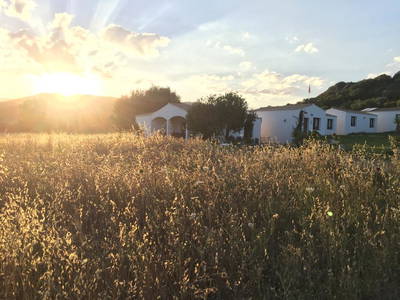 Bild 25 aus  Agriturismo Turudhis