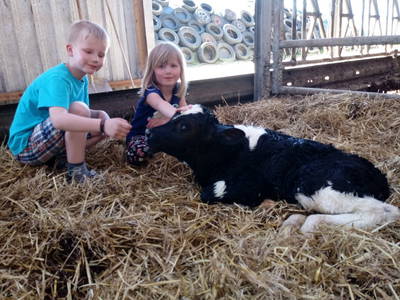 Bild 7 aus  Eschenhof