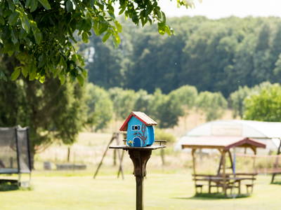 Bild 12 aus  Hof Hainholzblick