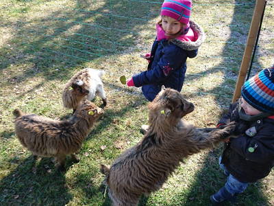 Bild 29 aus  Keilhof