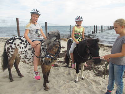 Bild 18 aus  Ostseeferienhof Tralau