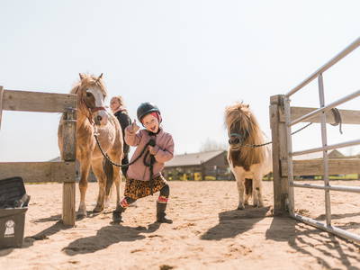 Bild 2 aus  Büdl'farm - Der Familien-Erlebnishof