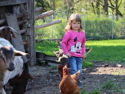 Bild 13 aus  Döllelhof Erding