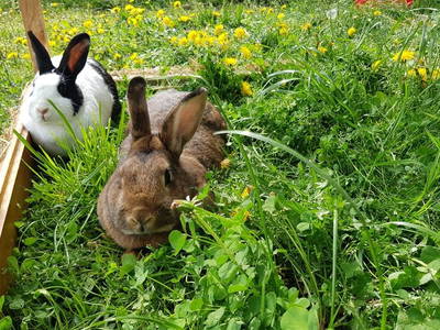 Bild 5 aus  Ferienhof Bohn