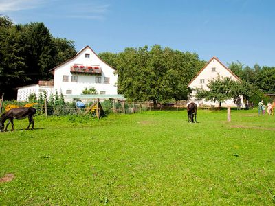 Bild 18 aus  Ferienhof Siber