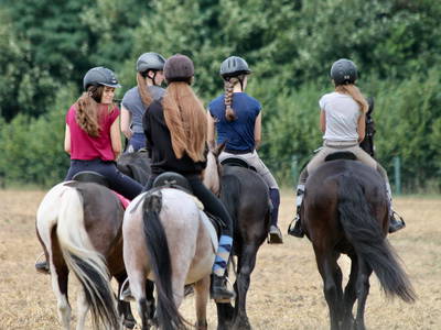 Bild 22 aus  Gut Sommereichen