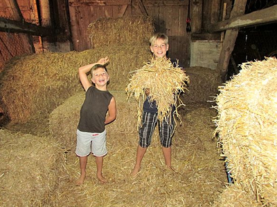 Bild 9 aus  Gut Grasbeck