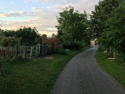 Bild 9 aus  BIO HOF BRINKMANN