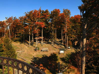 Bild 69 aus  Paulas Bauernhof im Bayerischen Wald