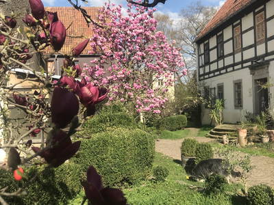 Bild 10 aus  Luminohof