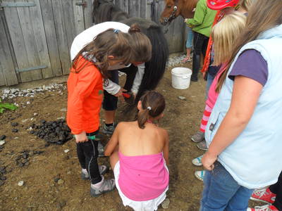 Bild 5 aus  Ferienhof Jansen