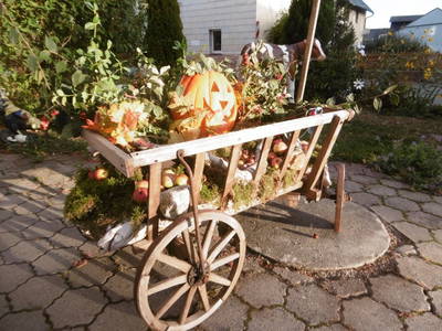 Bild 17 aus  Ferienhof Kießling