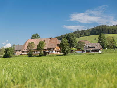 Bild 28 aus  Unterhöfenhof im malerischen Jostal am Titisee im Schwarzwald