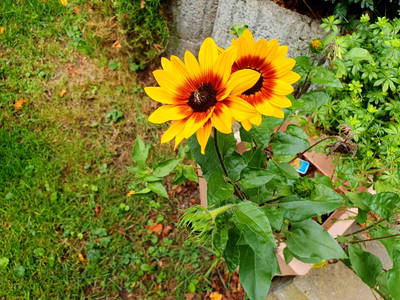 Bild 42 aus  Ferienhof Wolschendorf