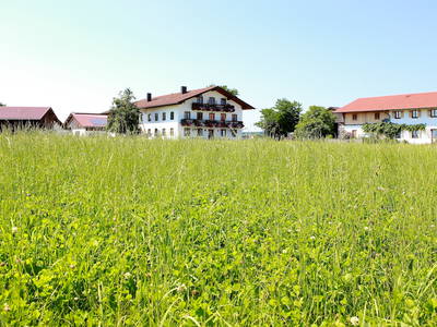 Blick auf das Bauernhaus, das Ferienhaus und die Stallungen im Hintergrund