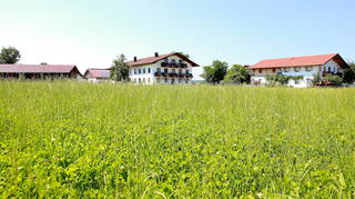 Springerhof - Blick auf das Bauernhaus, das Ferienhaus und die Stallungen im Hintergrund