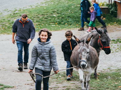 Bild 20 aus  Ottonenhof, die Familotel Ferienhofanlage für die GANZE Familie im Sauerland