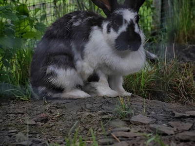 Bild 32 aus  Gerwenshof