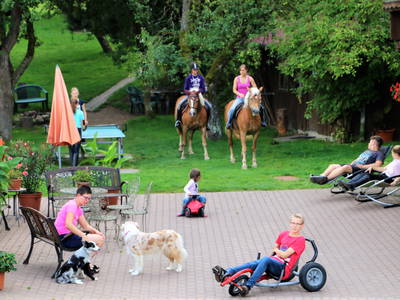 Bild 2 aus  Haflingerhof Doll