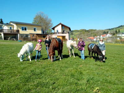 Bild 7 aus  Familienbauernhof Faß