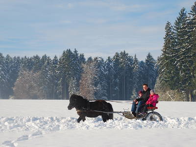 Bild 22 aus  Esterer Hof  ***** - Deutschlands Beliebtester Ferienhof 2022
