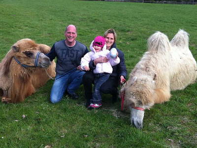 Bild 7 aus  Ferienhof  Jeiler