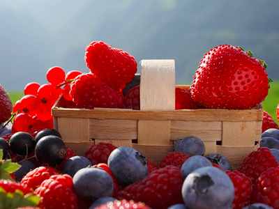 Bild 13 aus  Glinzhof