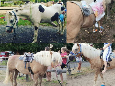 Bild 14 aus  Ferienhof-Marx