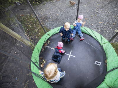 Bild 19 aus  Ferienhof Martens