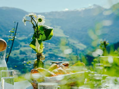 Bild 9 aus  Pitztaler Appartements