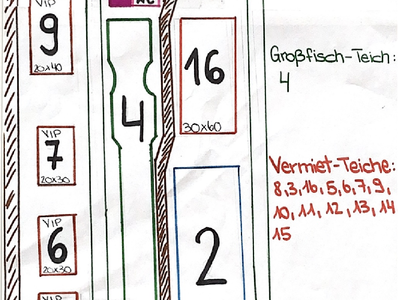 Bild 10 aus  Angelhof Weseloh