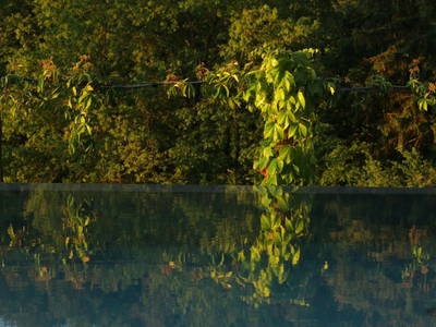 Bild 12 aus  Schloss Englar ****