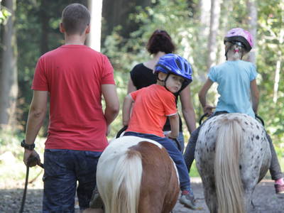 Bild 10 aus  Ponyferienhof