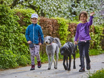 Bild 5 aus  LandSelection Urlaubsreiterhof Trunk *Glückliche Pferde & Menschen*
