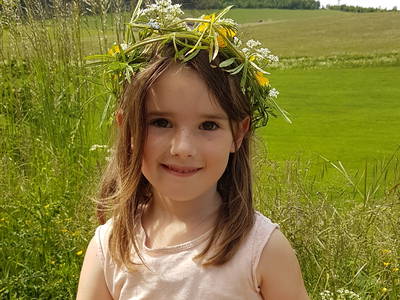 Bild 13 aus  Schellen Hof