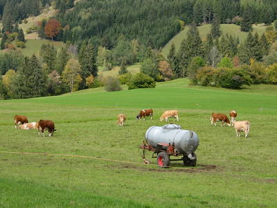 Bild 21 aus  Ferienhof Köpf