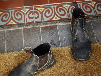 Bild 27 aus  LandSelection Ferienhof Friedrichsthal