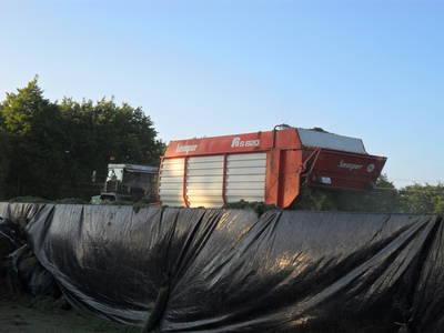 Bild 46 aus  Ferienhof Jansen