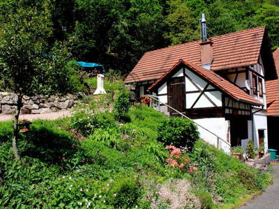 Bild 3 aus  Hasenhof