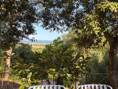 Bild 4 aus  Wunderschönes Haus im Wald am Meer in der Toskana
