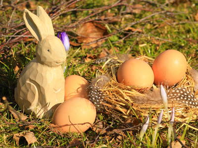 Bild 51 aus  Paulas Bauernhof im Bayerischen Wald