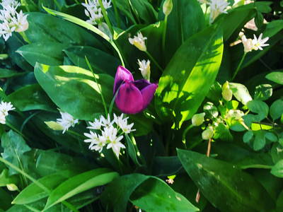 Bild 9 aus  Ferienwohnungen Beim Danner