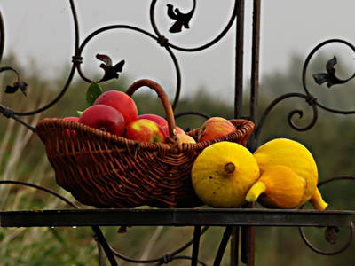 Bild 11 aus  Ferienwohnung Haus der Hebamme