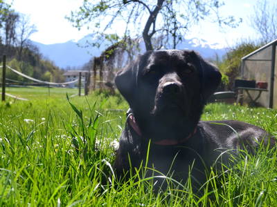 Bild 25 aus  Niederauer Hof